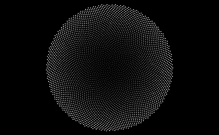 Phyllotaxis