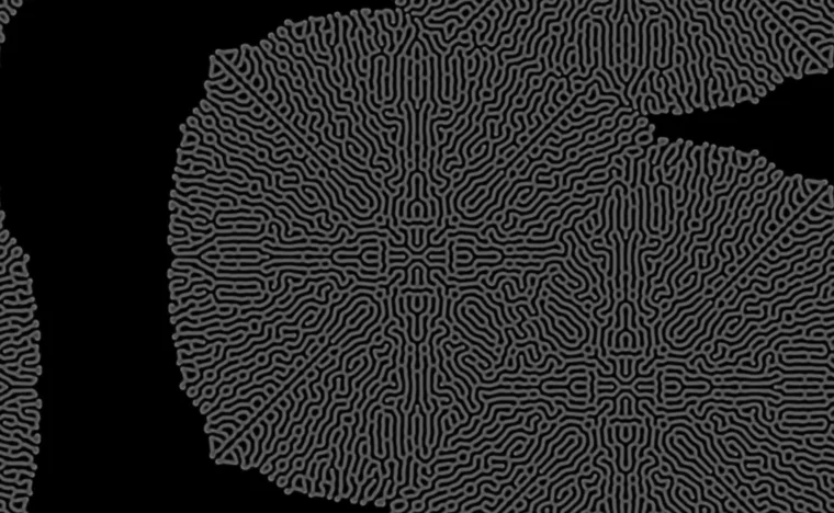 Reaction-diffusion